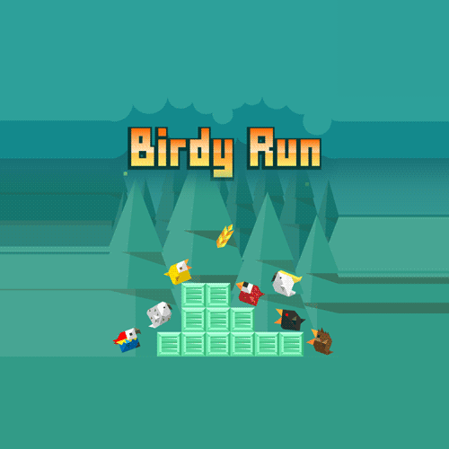 Birdy Run